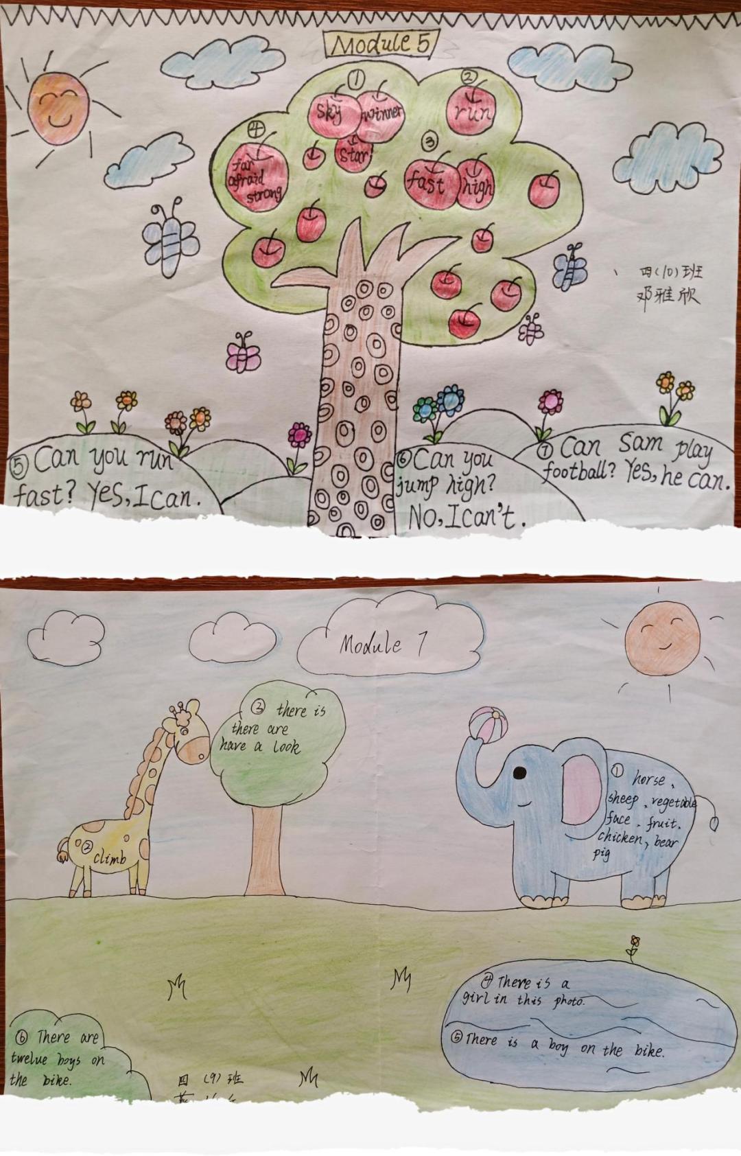 双减优秀案例从哪几个方面写,双减作业案例获奖范文