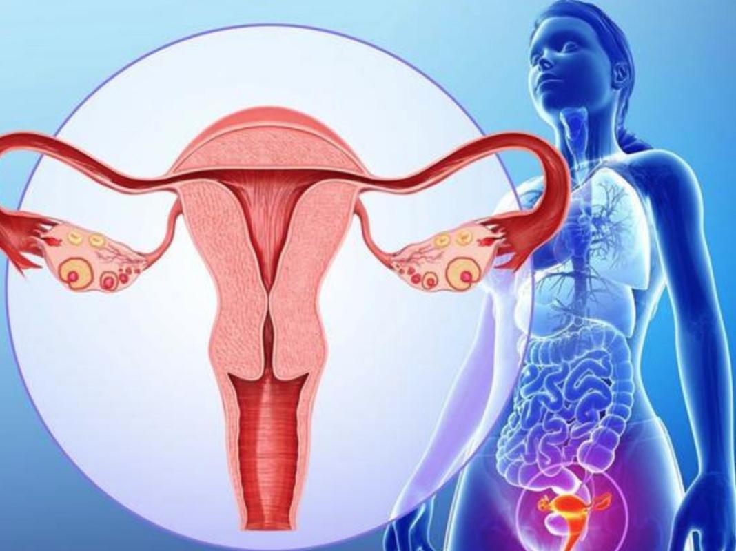 高中女生体检时，子宫内发现毛发及黏稠物，咋回事？听医生分析