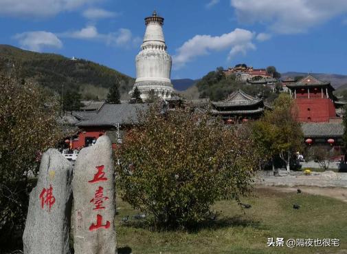为何五台山上的漂亮尼姑越来越多,五台山尼姑为何越来越多