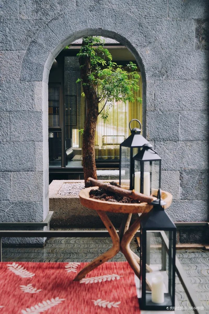 拜托！喝一杯价值8000多万的古树茶，住雪山博物馆酒店，超酷欸