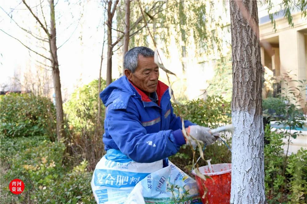 齐河绿城当年开盘多少钱,齐河房产绿城