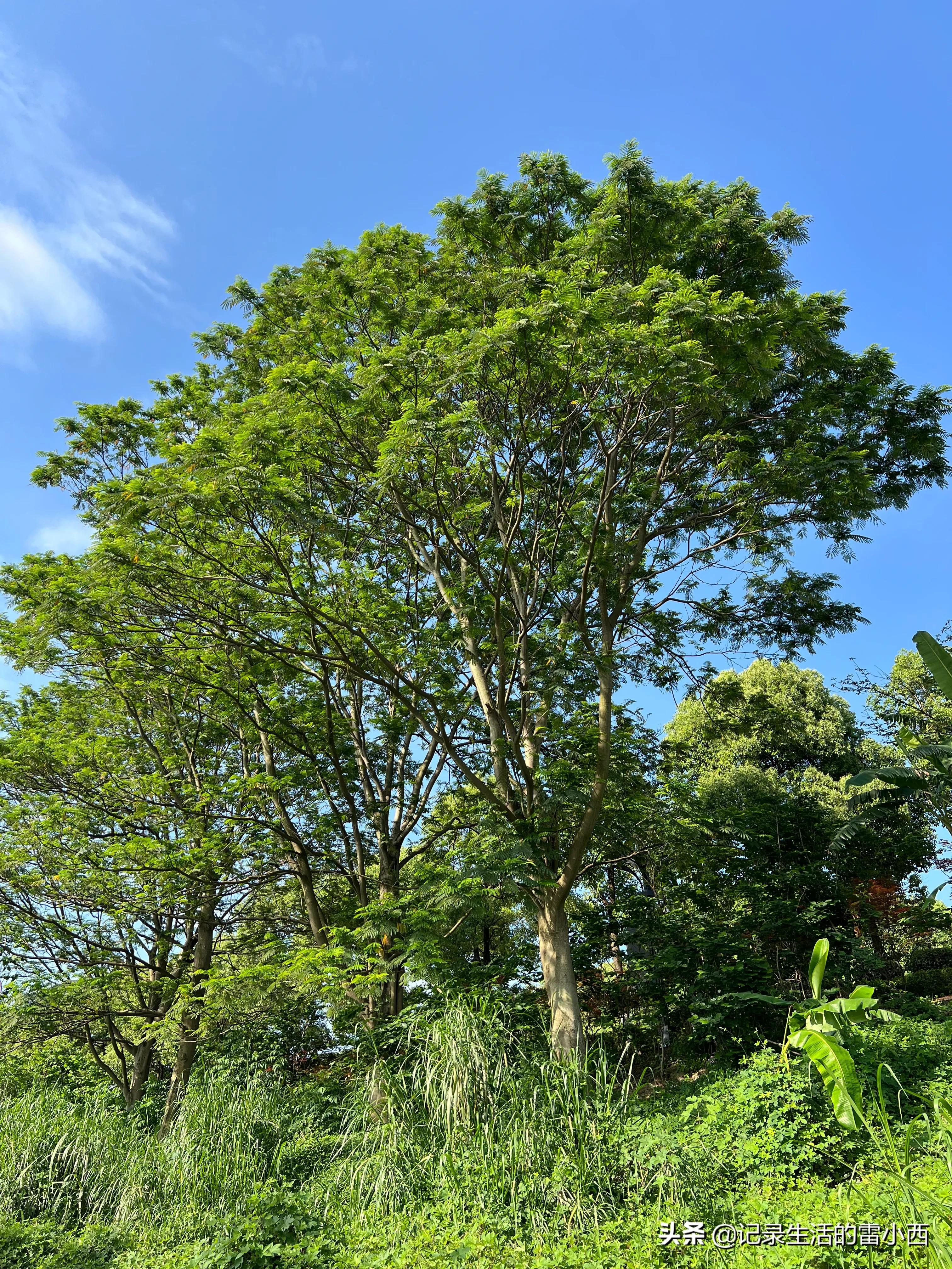 五一假期旅游冲突,和五一假期擦肩而过