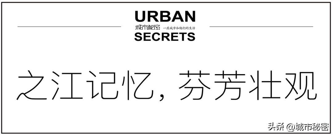杭州之江板块的历史,杭州之江珊瑚沙家园怎么样
