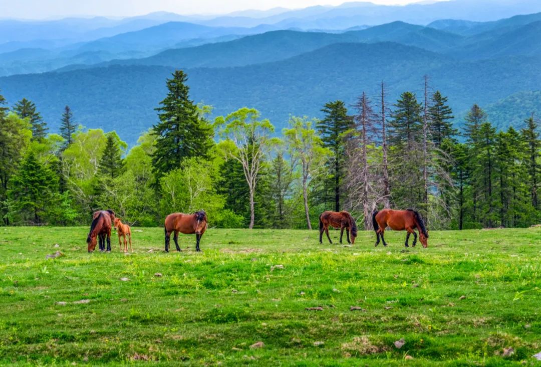 7个惊艳小众旅行地建议收藏哦,最走心的旅游攻略