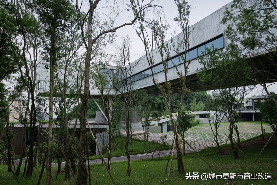 桃源居平面图,重庆桃源居全景图