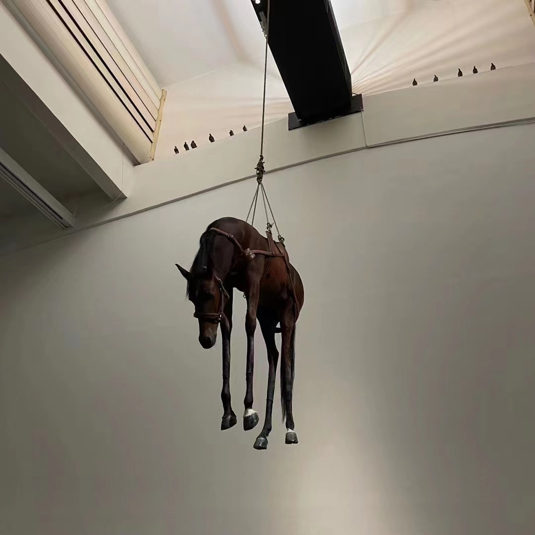 驱魔人：心理治疗的本质