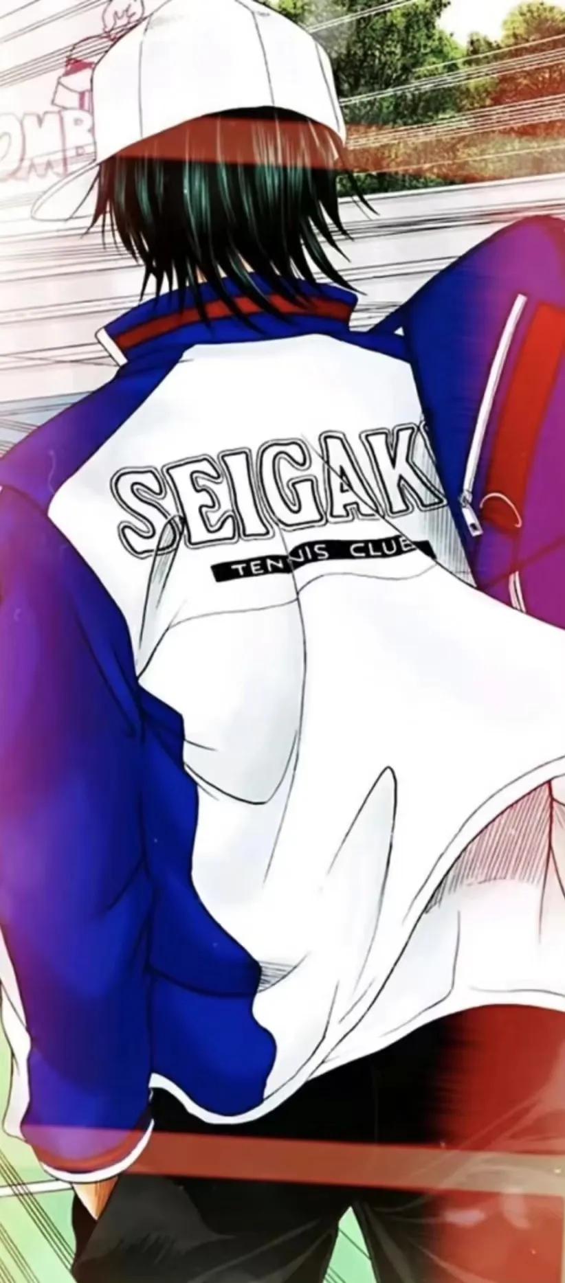 壁纸网球王子手冢国光,网球王子远山金太郎壁纸