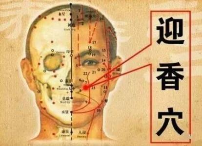 鼻炎穴鼻通穴,迎香穴治疗鼻炎的第一要穴