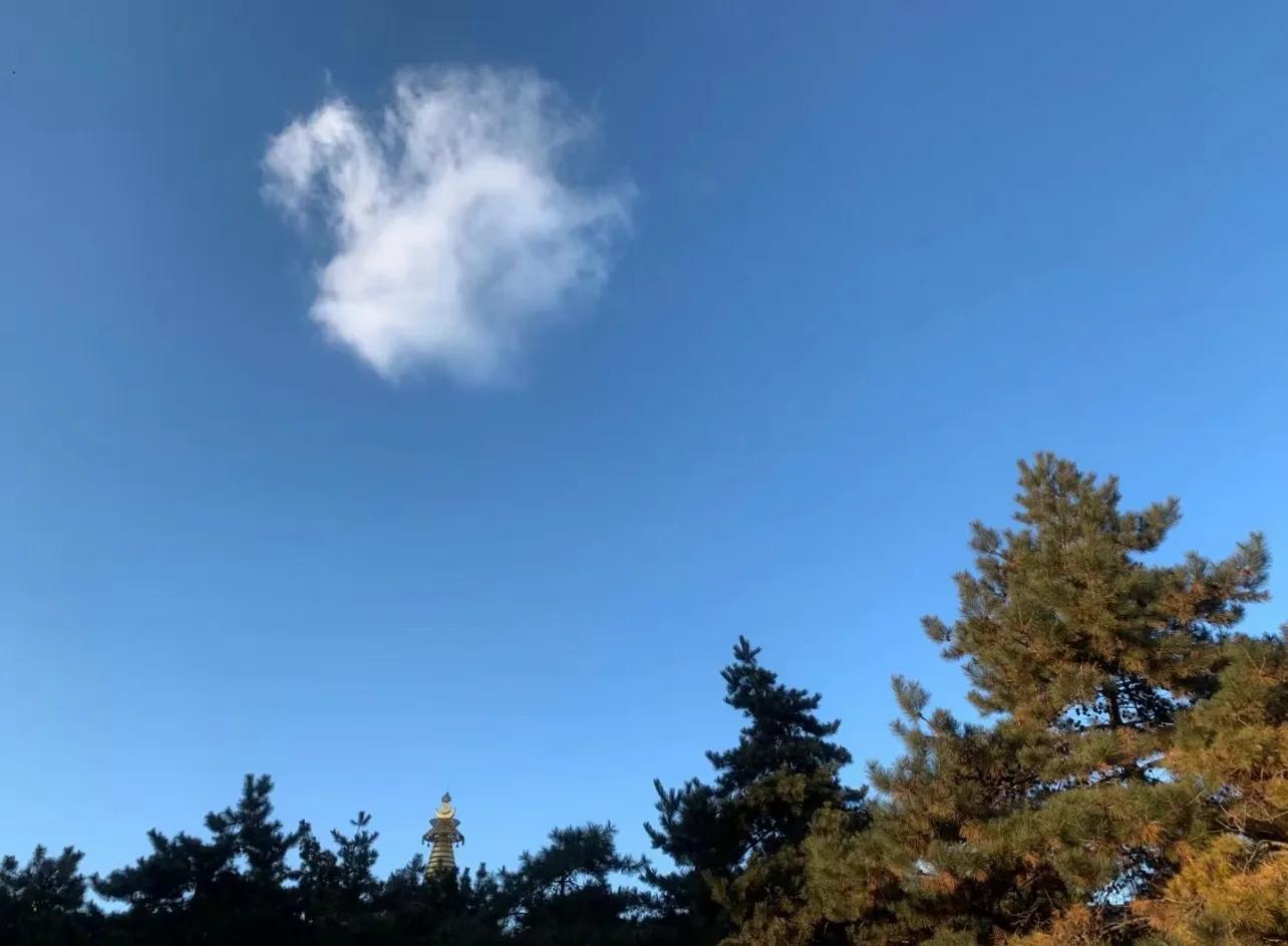 抗癌日记终结篇,宫颈癌转移抗癌成功案例