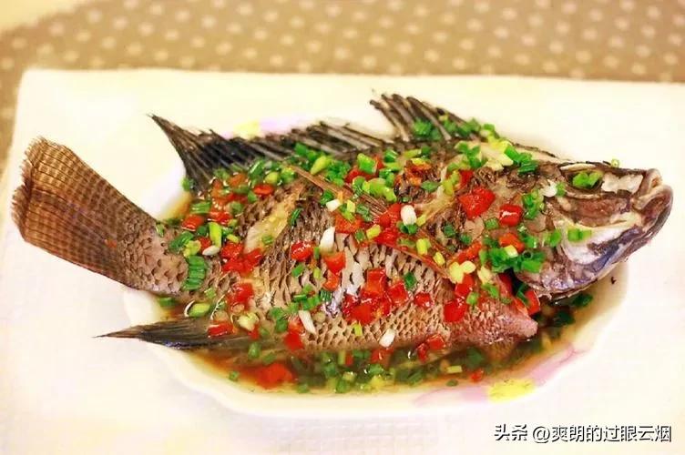 鲶鱼是世界上最脏的鱼,中国十大最脏鱼是什么鱼