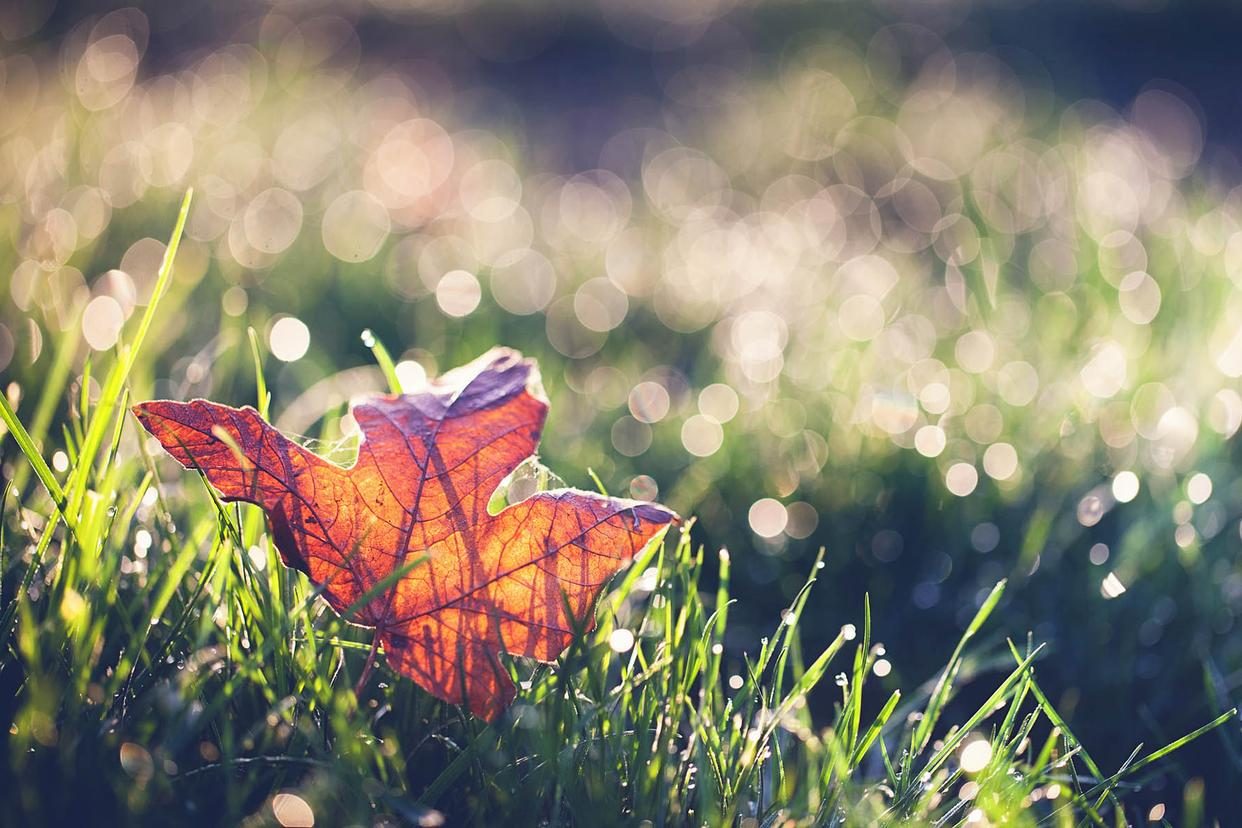 夫妻之间没有共同使用的三样东西,夫妻之间不要共用三样东西