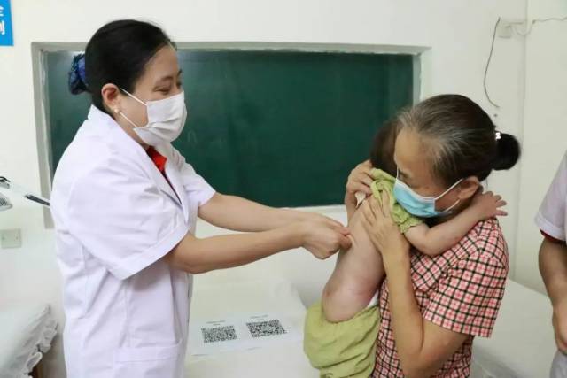 粤琼一家亲,粤琼一家亲茂名