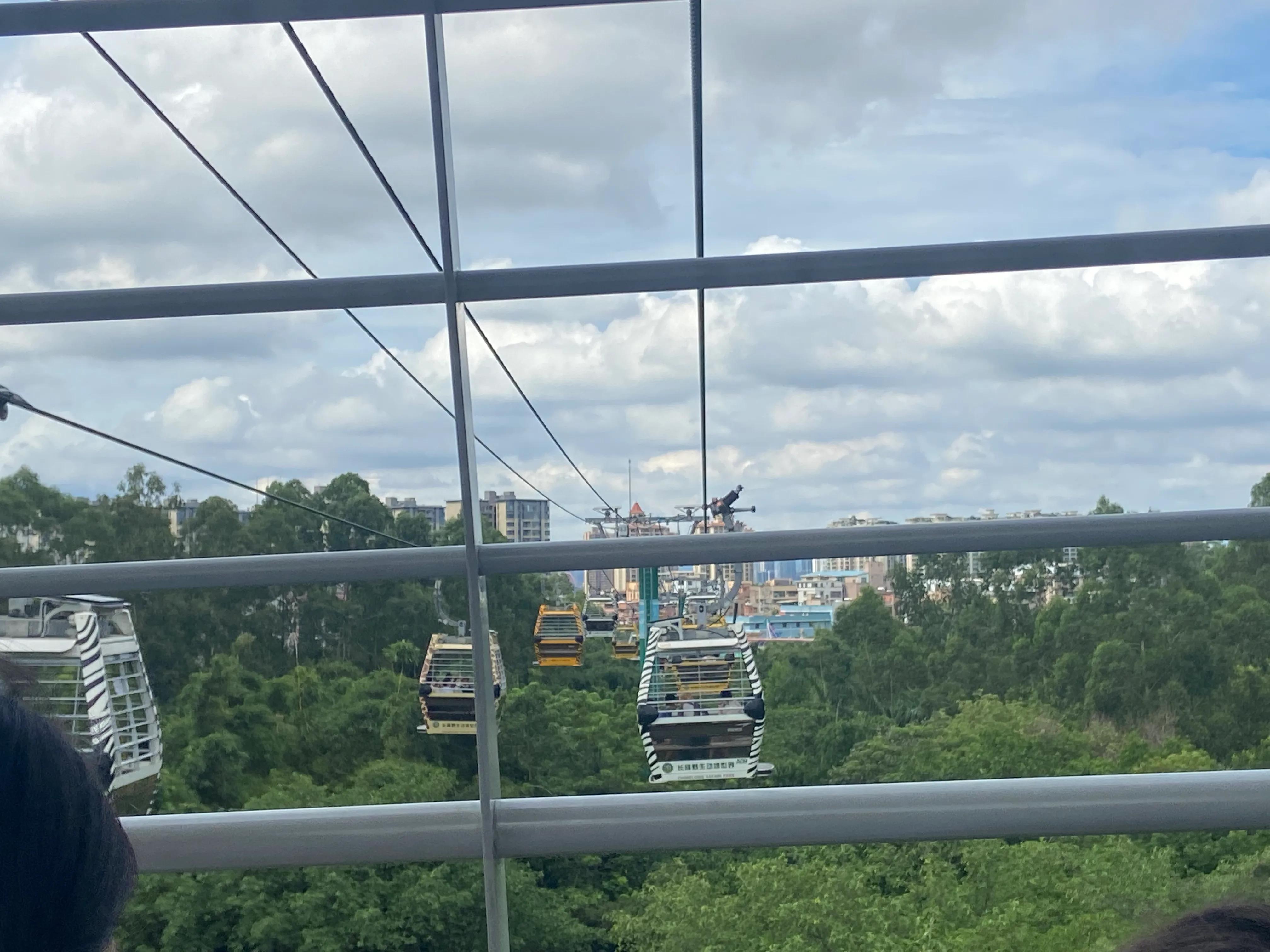 广州长隆野生动物园保姆级攻略,佛山去广州长隆野生动物园攻略