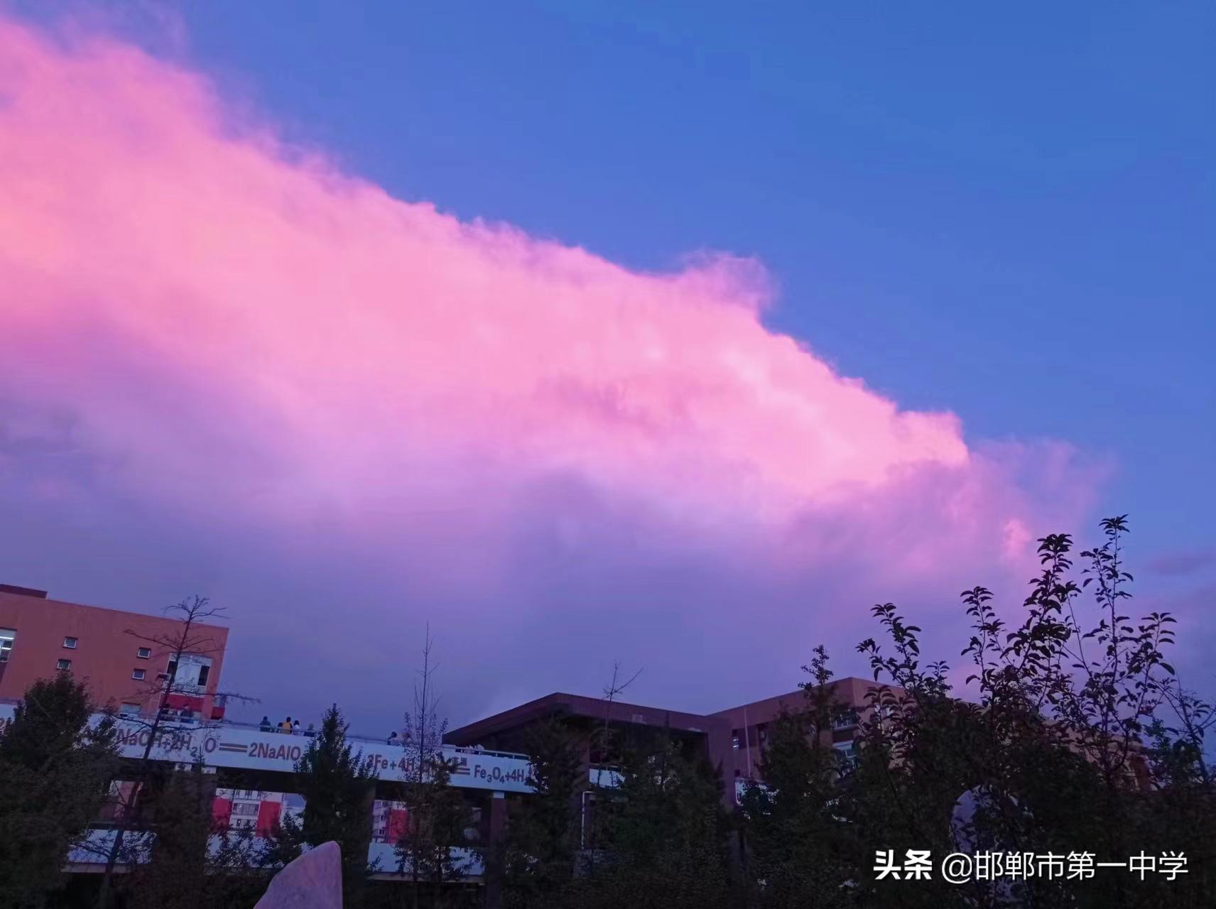 亲爱的母校完整视频,亲爱的母校完整版