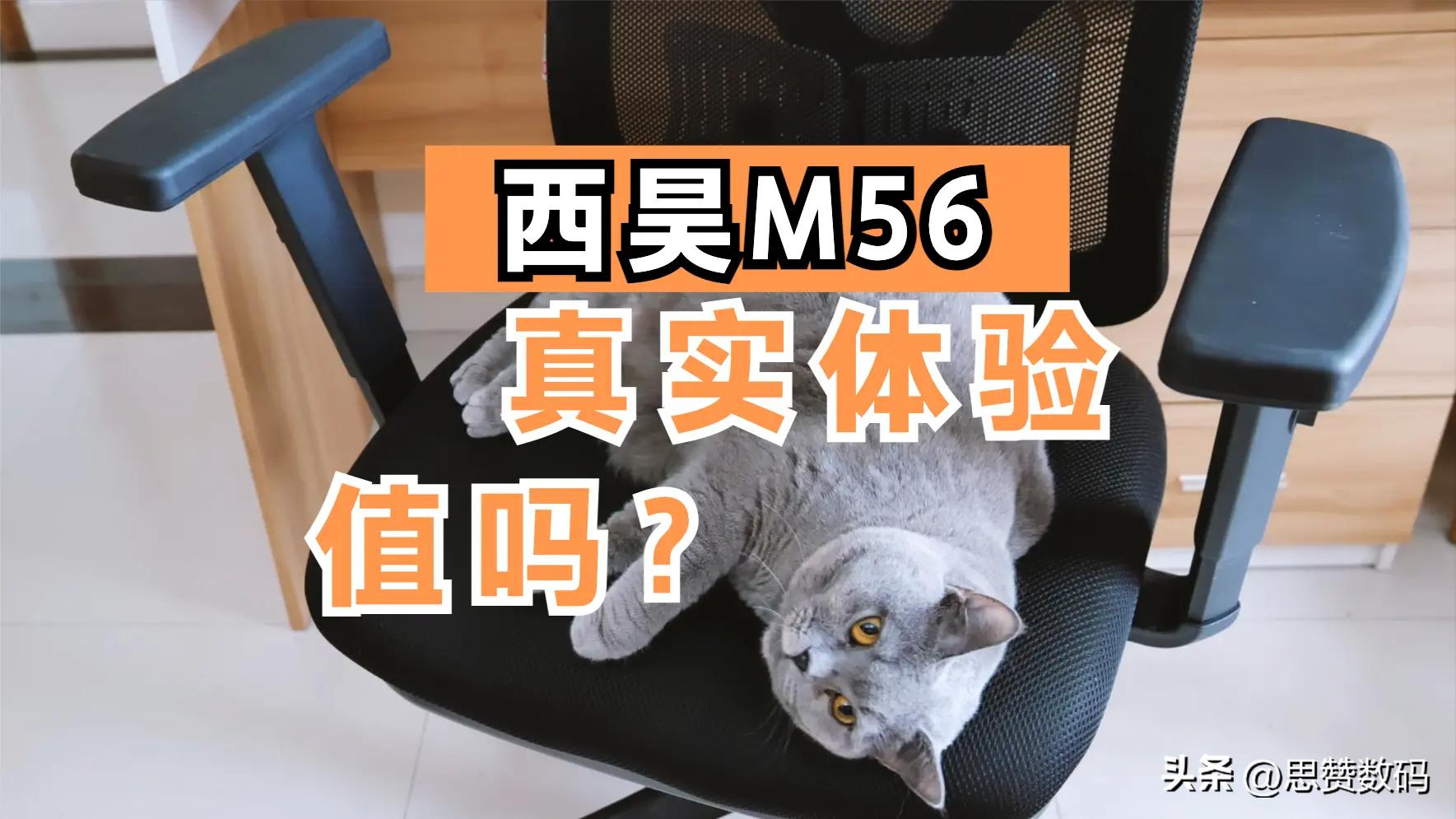 西昊电脑椅m18与m56,歌德利g18六代和西昊m56怎么选