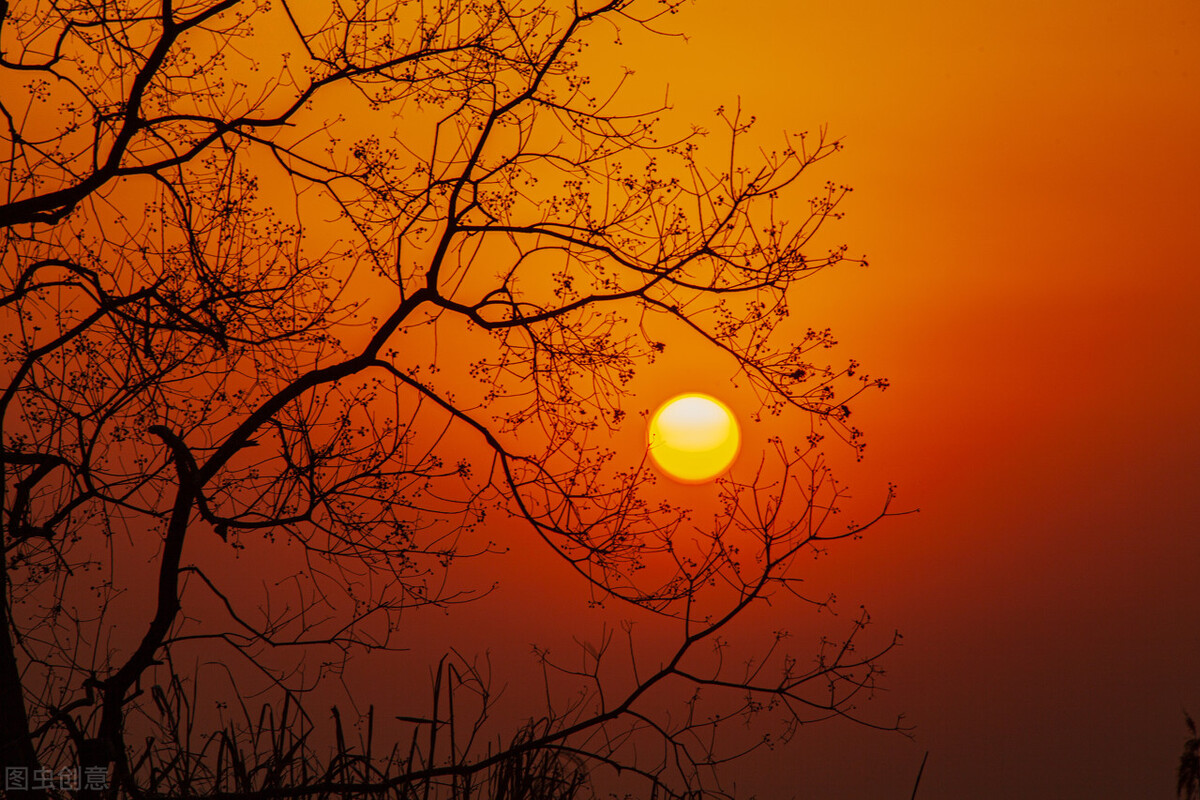 岁月曾经静好；我们，曾经在这里种菜撸猫