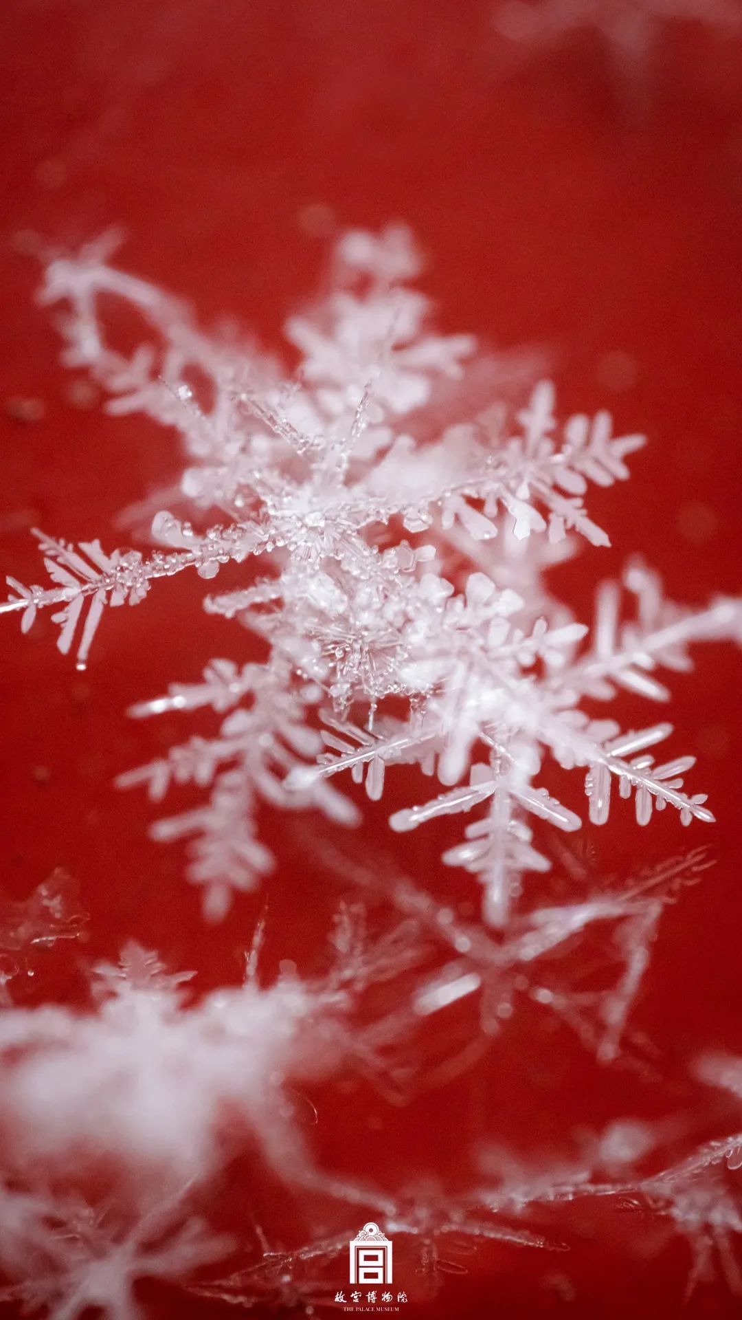 一元复始始终如一,一元复始推陈出新