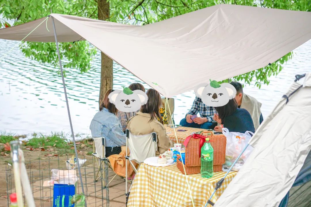 成都周边一日游露营烧烤好去处,成都周边春天适合野炊露营的地方