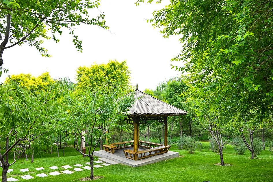 北京免费景美公园大全,北京这个公园也很美