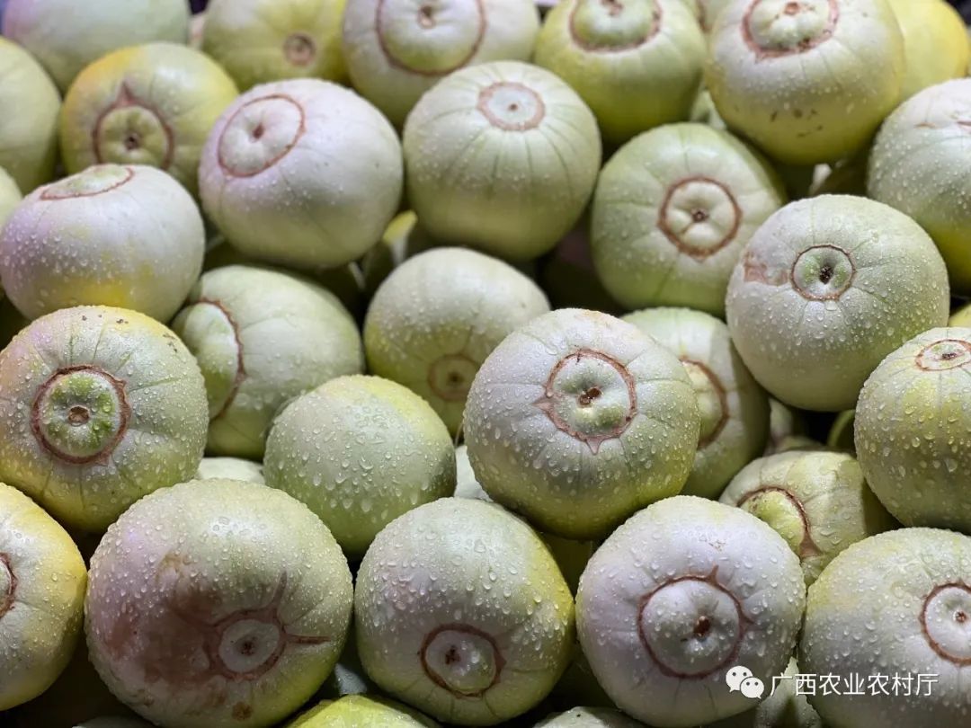 夏季有哪些水果上市,夏天上市的蔬菜有什么