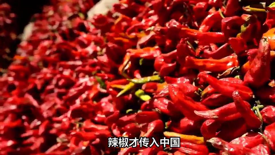 四川人没有辣椒的时候吃什么,无辣不欢的人却吃不了辣怎么办