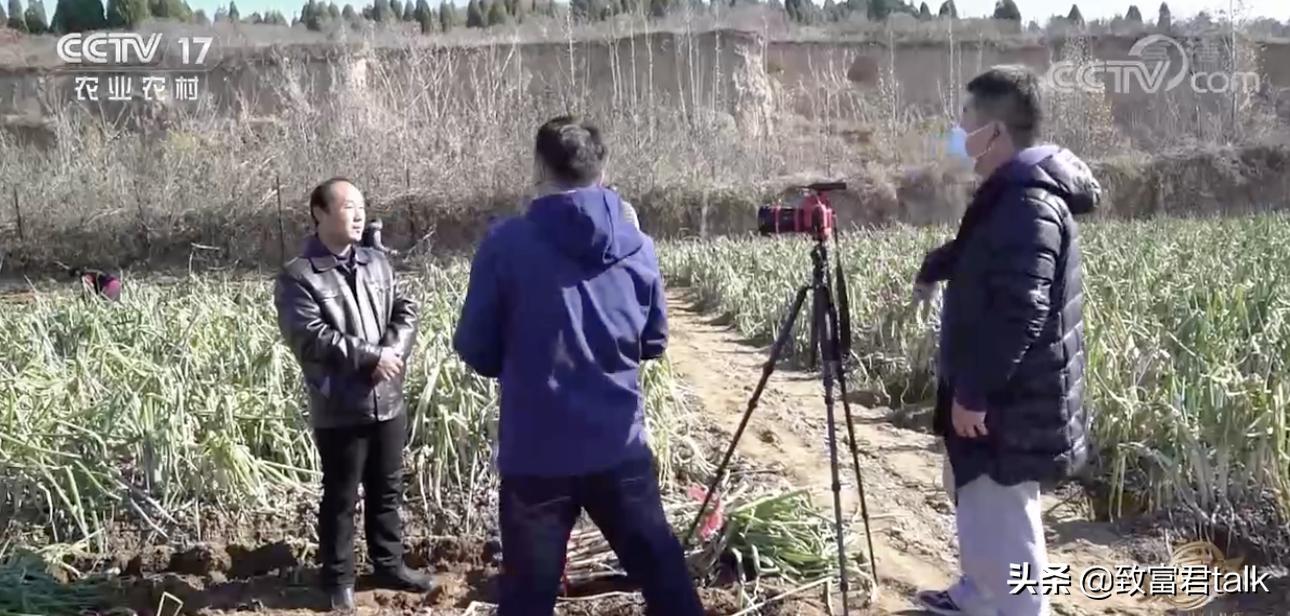 他种的大葱，比姚明高一头