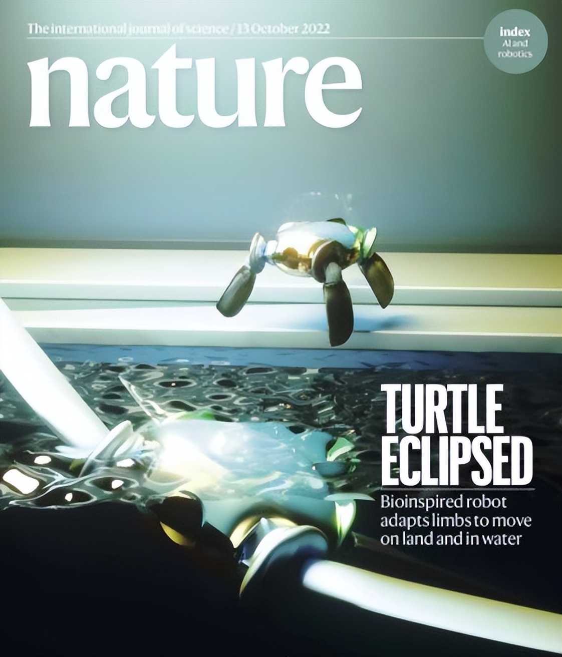 科企岛：海龟机器人，在水中和陆地上游泳