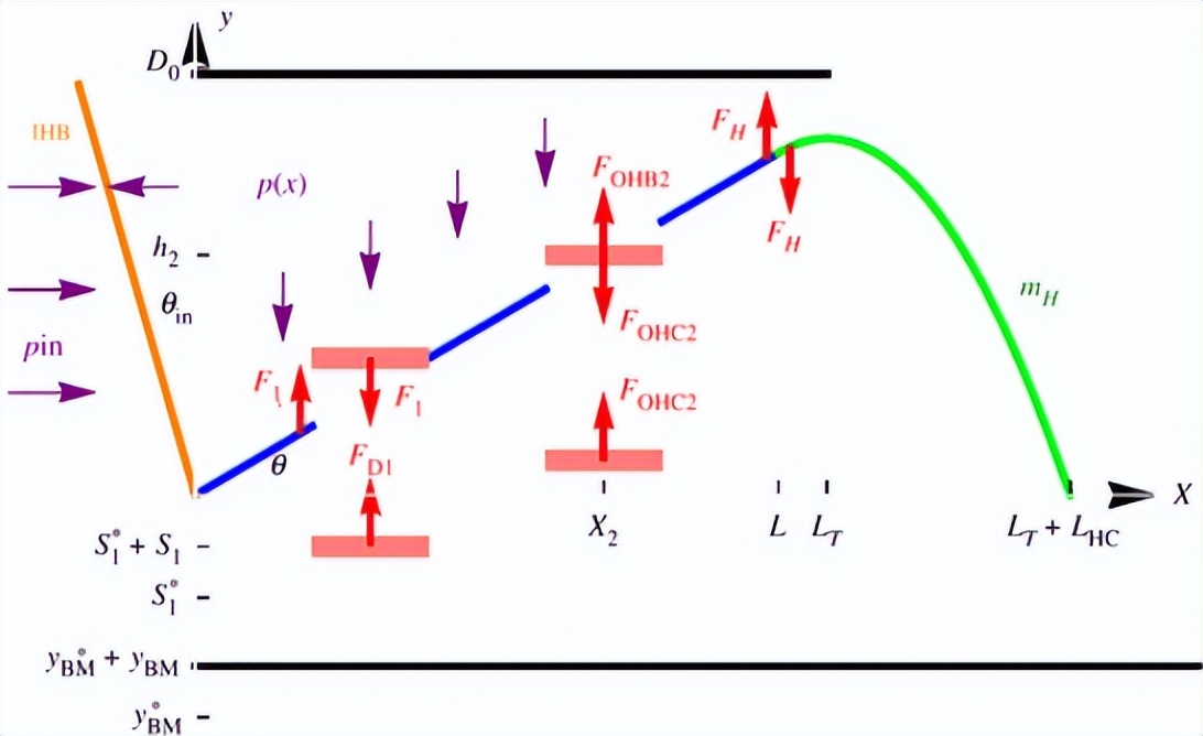 耳蜗的解剖结构和功能,耳蜗的功能的描述