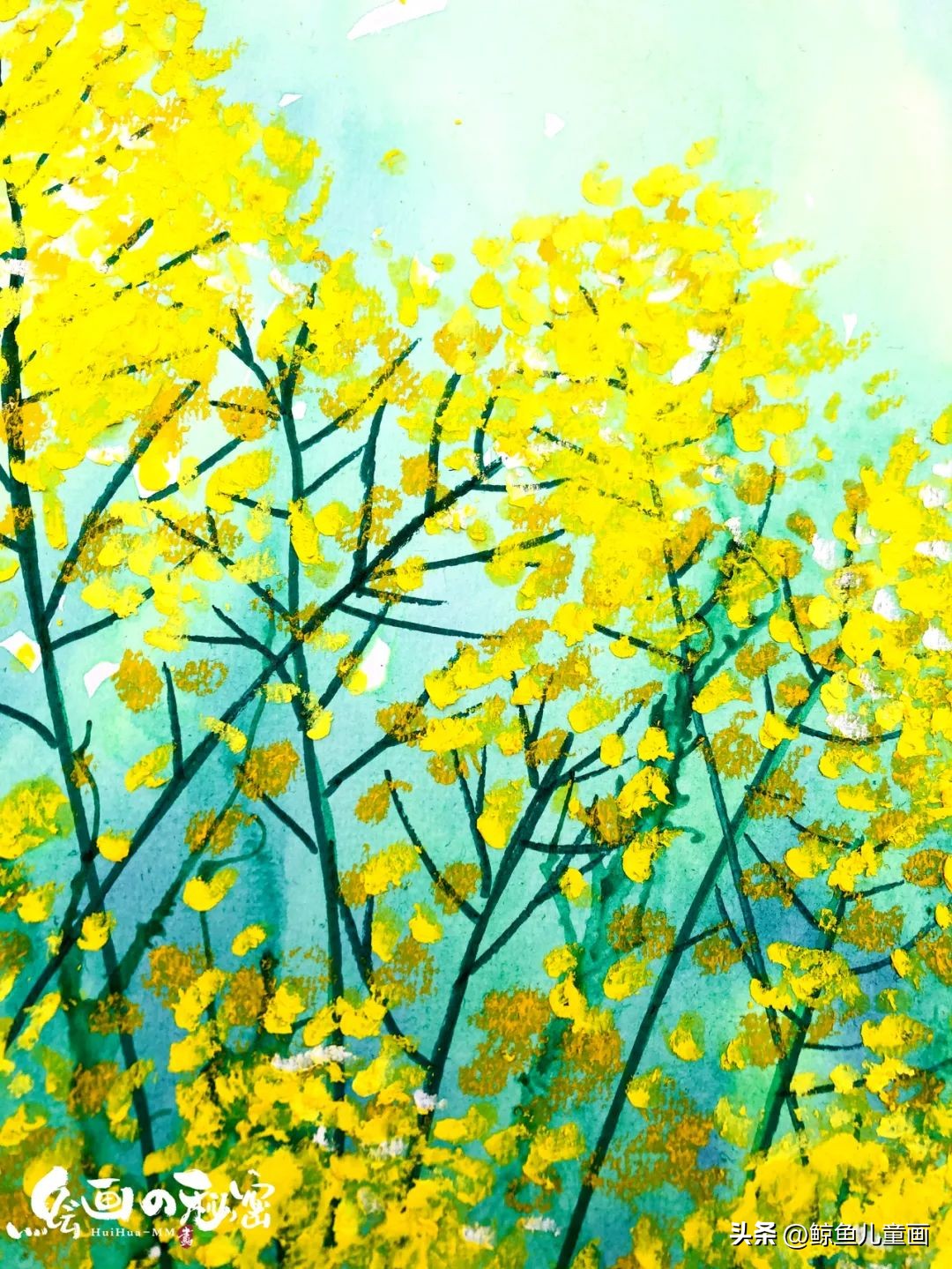 油菜花什么时候开,油菜花怎么拍照好看