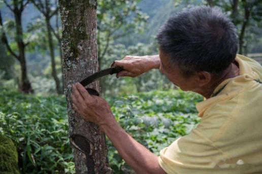 曾被视为“座上宾”，如今依旧吃香的4种手艺人，年轻人却不愿学