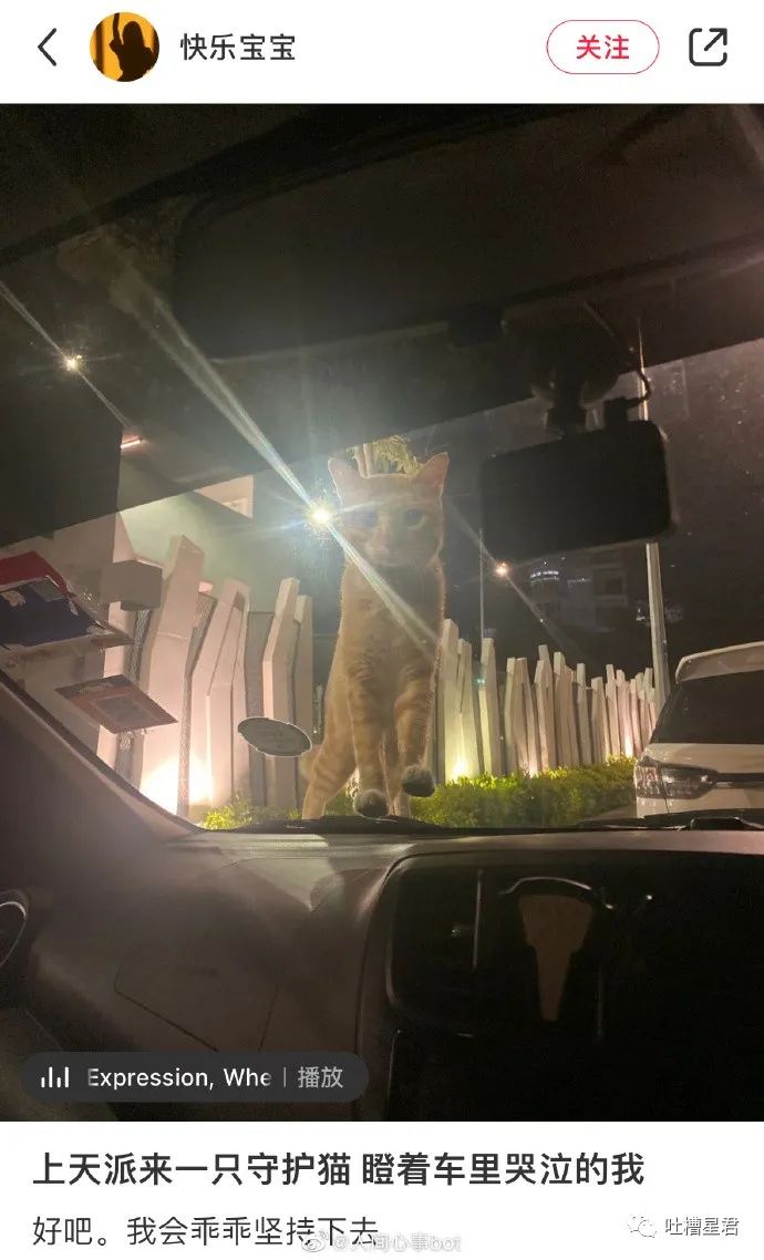 具俊晔台北看汪小菲第一套房,具俊晔在台湾看汪小菲另一套房