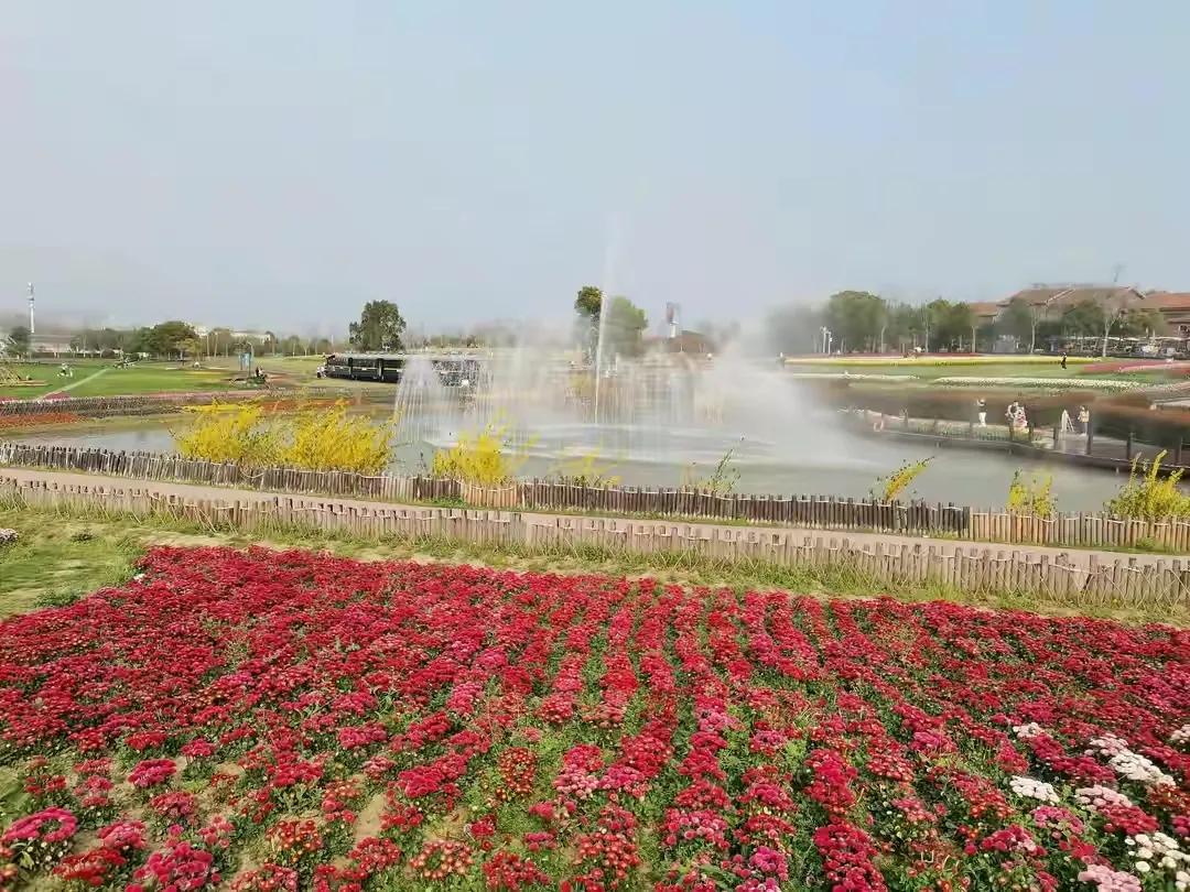 九九归一，青春永驻