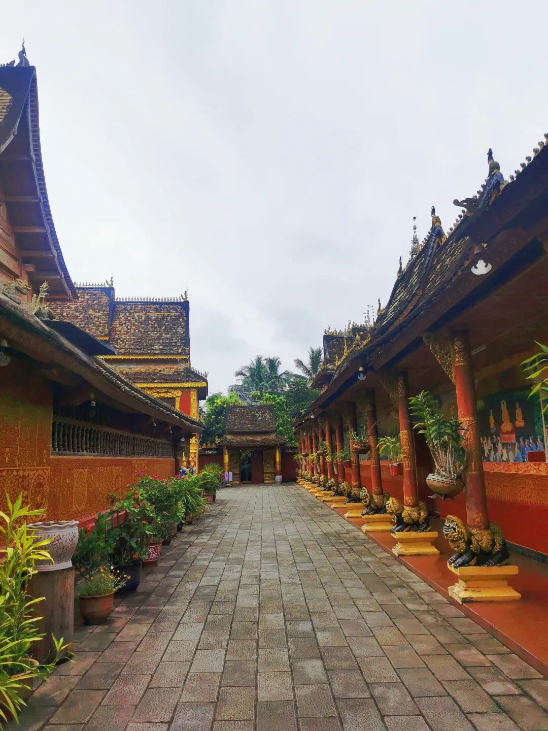 西双版纳七天六夜攻略,西双版纳五天六夜之旅完美结束