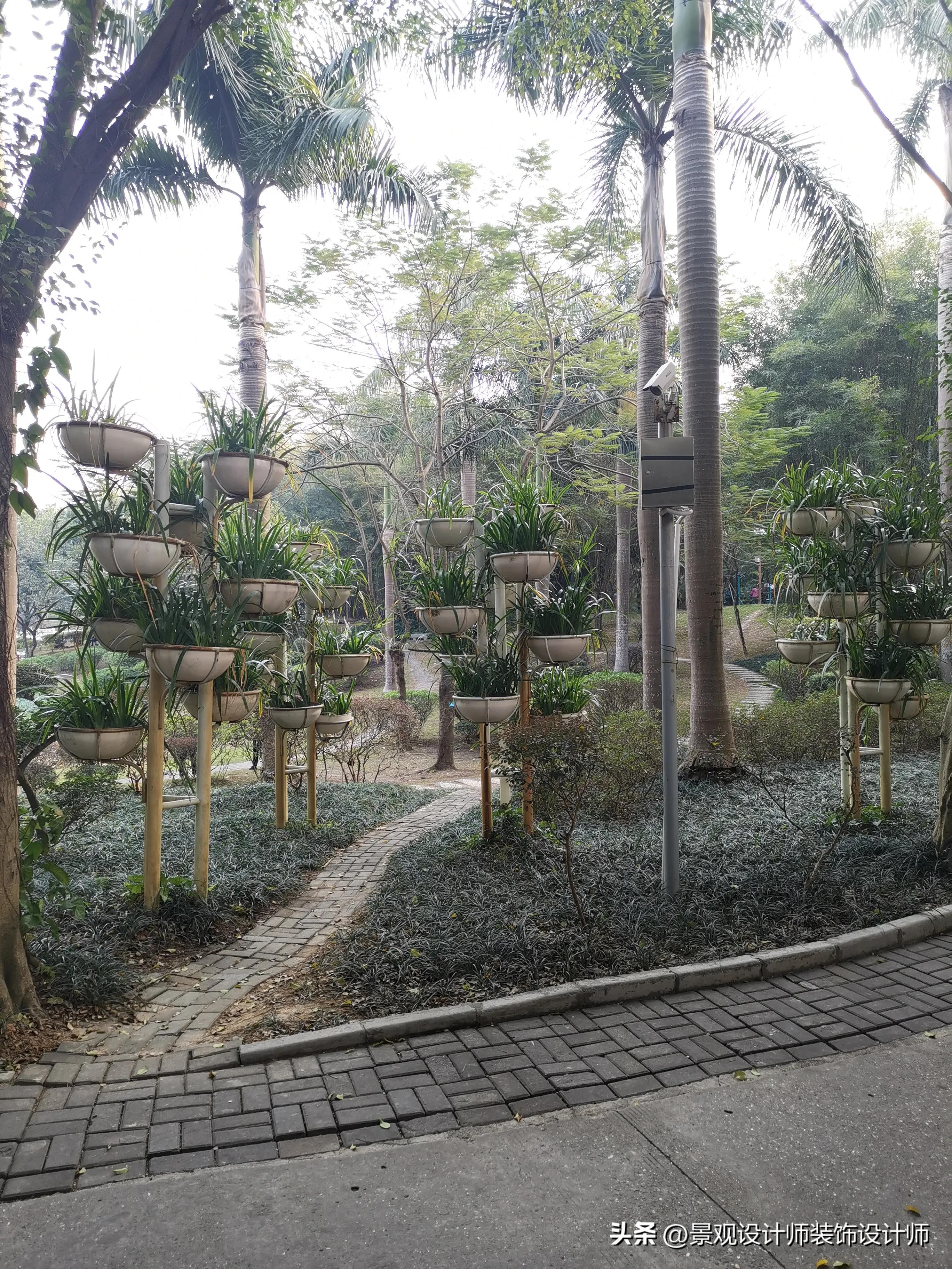 南宁市狮山公园办公区,南宁市狮山公园地址