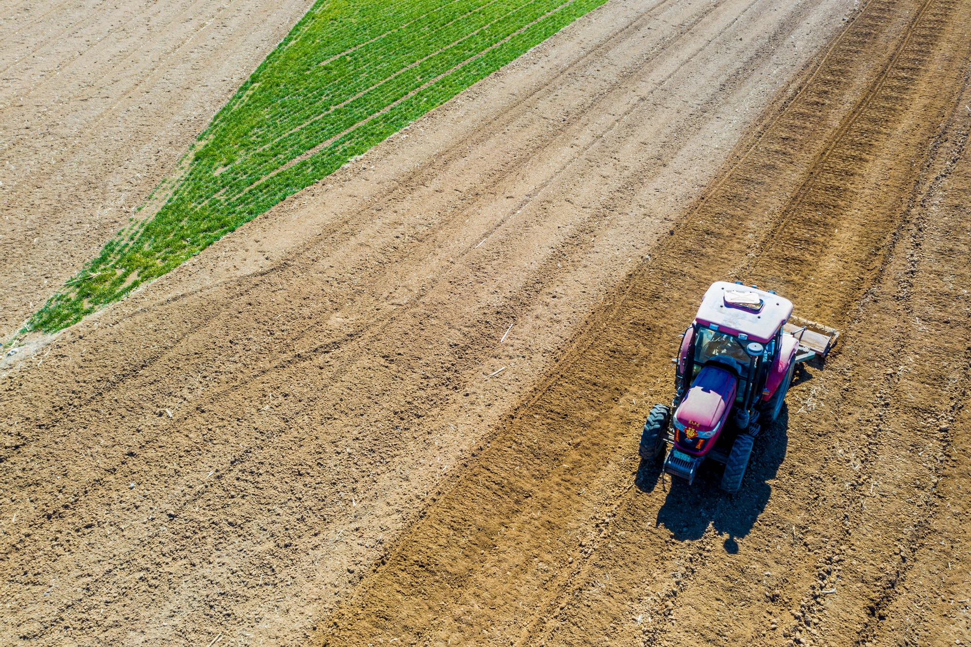 “云”上摄影展丨《徐村*光春**美人勤春来早》