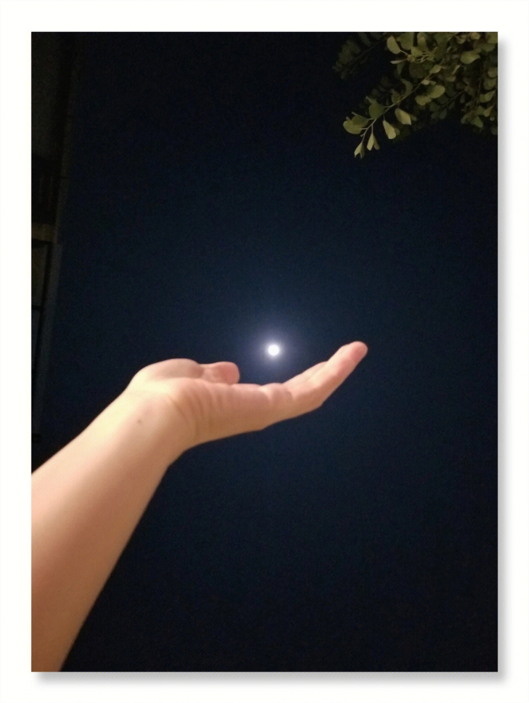 中秋适合发的朋友圈的月亮图,中秋九宫格月亮照片高清图片