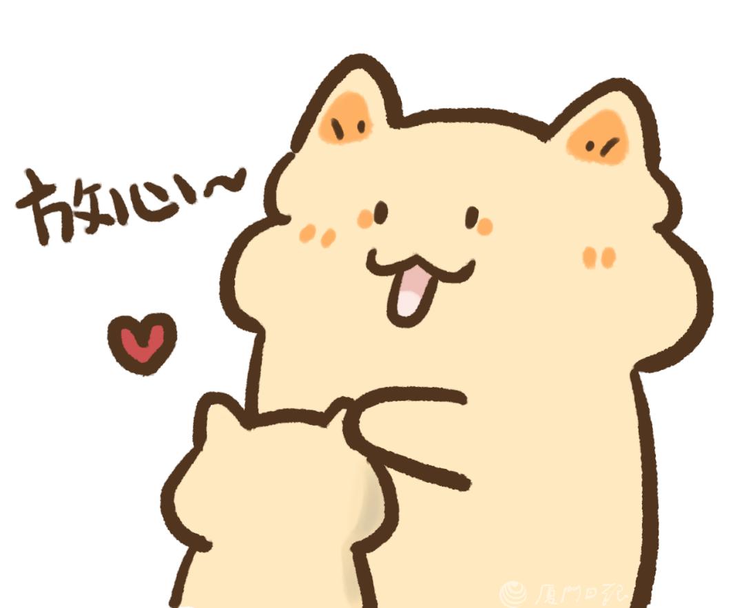 厦门定向生政策会看市排名吗,厦门高中定向生条件