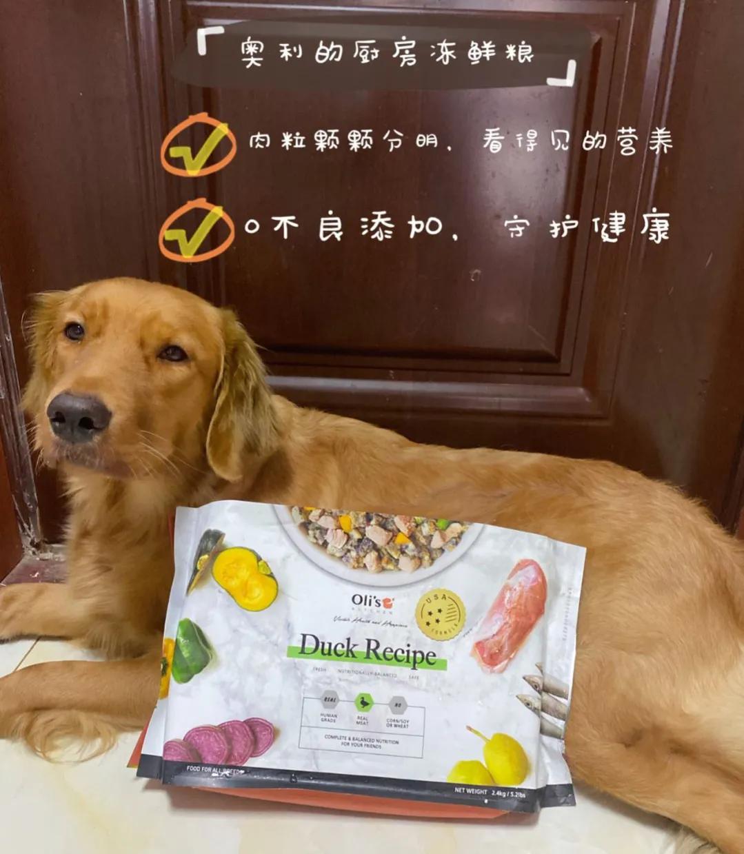 未来哪些行业可以有创业机会,2022年最赚钱的5个创业行业