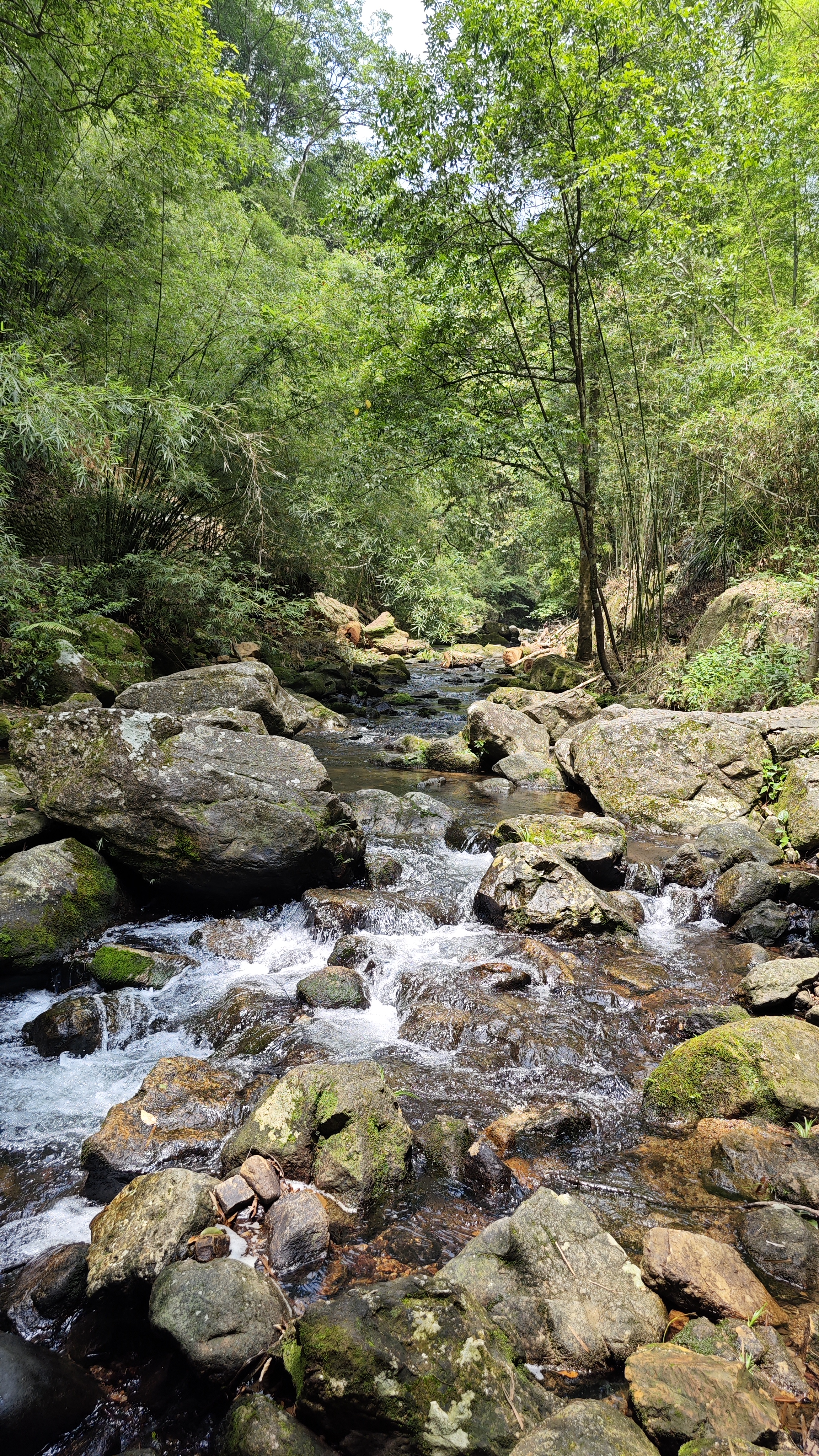 惠州夏日避暑胜地南昆山,惠州南昆山溯溪玩水的地方