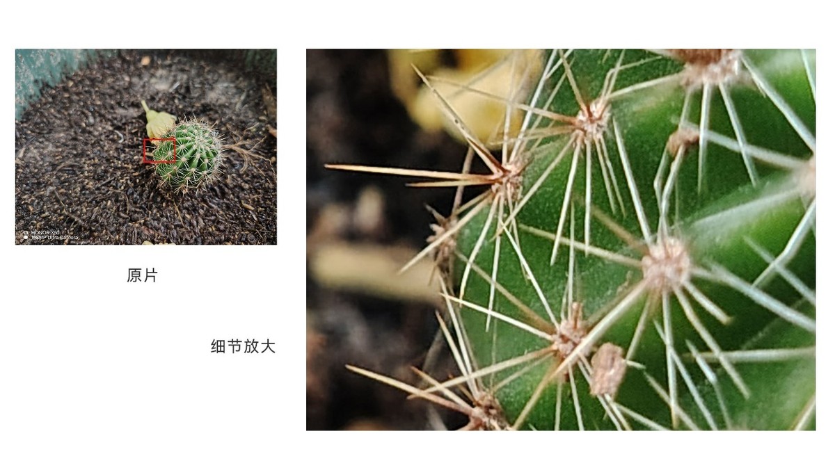 荣耀x50多少钱新机,荣耀x50新机型即将上市