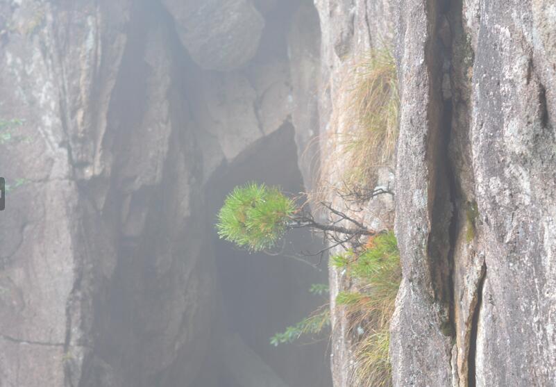 一品黄山天高云淡香烟,一品黄山天高云淡广告原视频