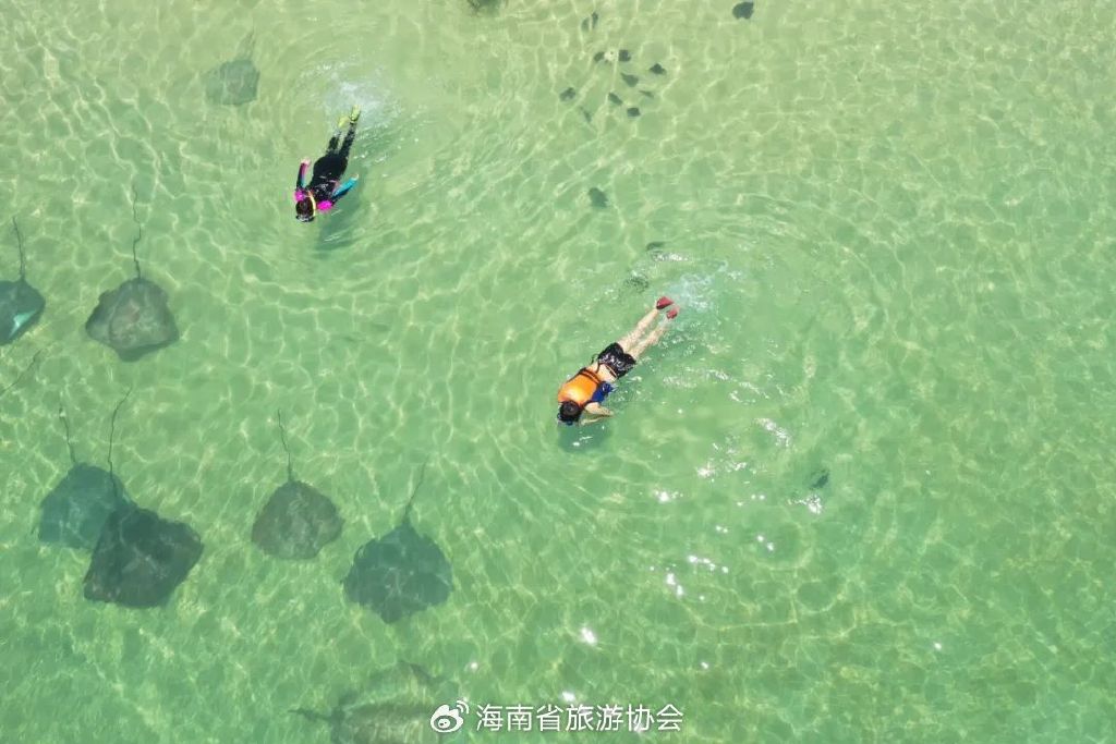 海南分界洲岛旅游区的个人主页,海南省分界洲岛海钓会所