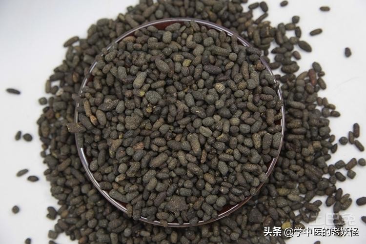 五灵脂可活血通络吗,用于活血止痛五灵脂的最佳配伍