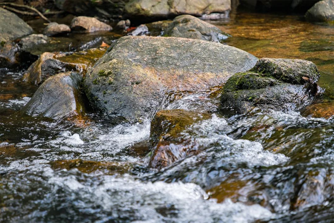 广东深圳避暑好去处,深圳夏天哪里度假避暑最好