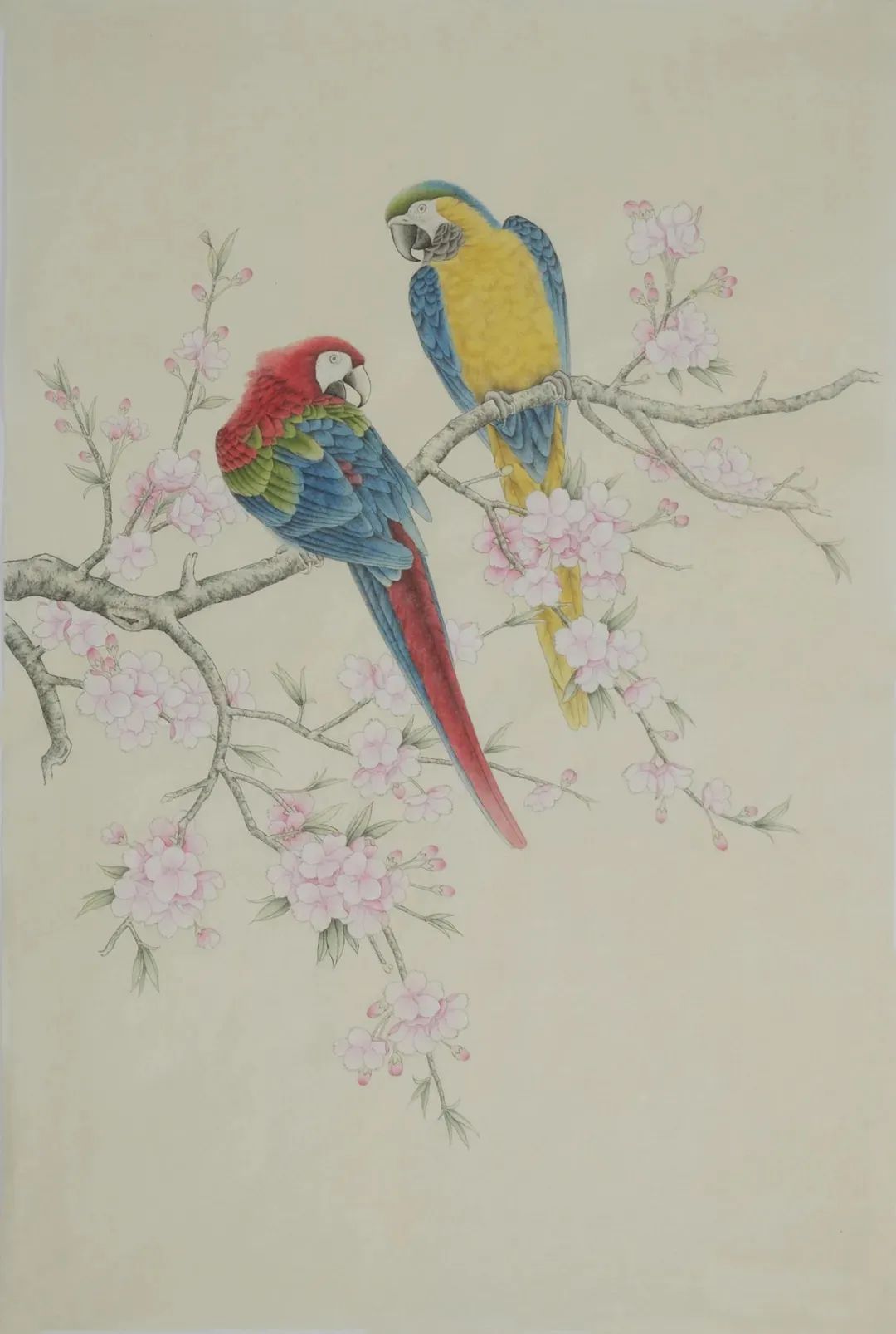 工笔画鹦鹉技法大全,工笔鹦鹉的画法和视频