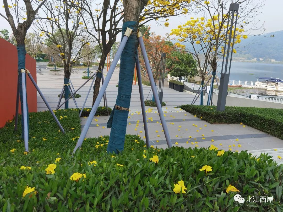 牧童遥指杏花村的遥是什么意思,牧童遥指杏花村书法作品