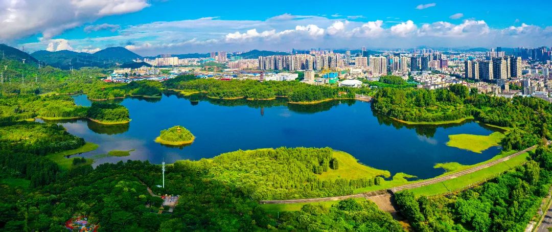 今天深圳地铁有开通吗,今天深圳地铁开通了吗