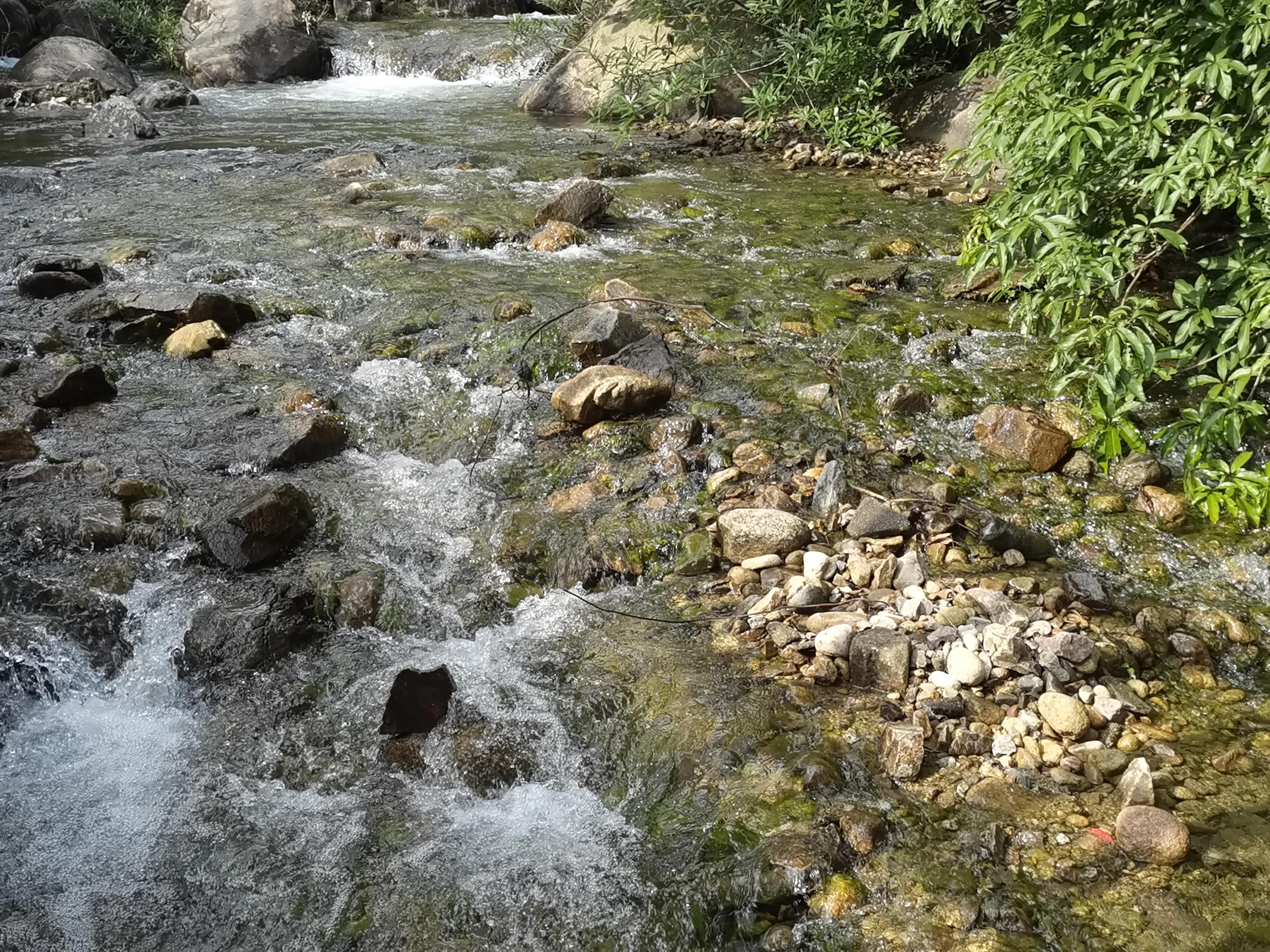 亲子游玩广州好去处推荐,亲子游玩好去处推荐广州