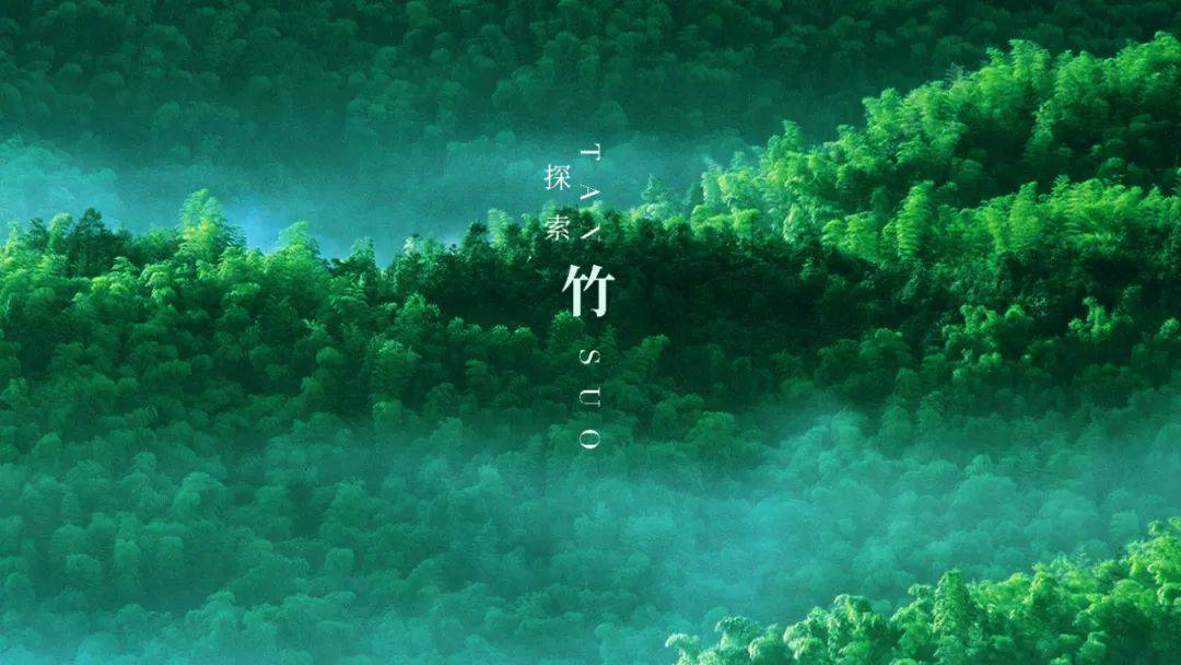 欧林雅竹纤维长袖,专注竹纤维保暖面料研发