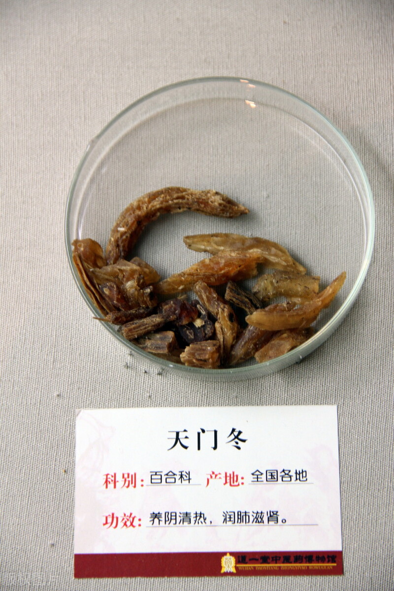 兽药知识兽药分类及药理配伍,兽药常识